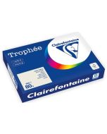 Ramette de papier Trophée de 500 feuilles A3 - Gris Perle : CLAIREFONTAINE Visuel