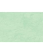 Papier Cadeau Kraft uni - Blanc - 0,7 x 10 m CLAIREFONTAINE