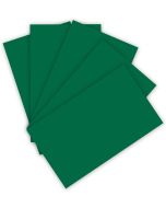 Feuille de couleur A4 - 210 x 297 mm - Vert sapin : FOLIA Visuel