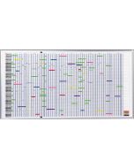 FRANKEN PV1015 : Planning annuel Tableau mural - 1008 x 783 mm