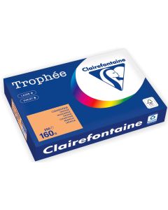 Ramette de papier de 250 feuilles A3 160g - Clémentine : CLAIREFONTAINE Trophée Modèle