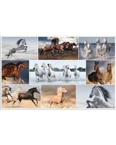 Sous-main de bureau - 550 x 350 mm HERMA Animaux Chevaux Recto