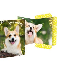 Carton à Dessin à élastique - A3 - Corgi RNK Verlag