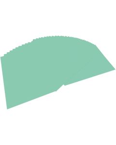 Feuille de papier - 220 g - 500 x 700 mm - Menthe : FOLIA Visuel