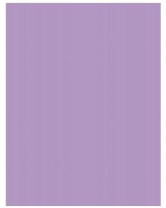 Carton de Bricolage A4 - Violet - 300 g/m² : FOLIA Lot de 50 Visuel