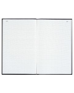 LE DAUPHIN : Registre de 500 pages quadrillées avec foliotage - 340 x 225 mm 7559D