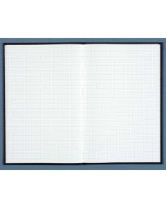 Registre - 500 pages quadrillées - 390 x 255 mm - LE DAUPHIN  image