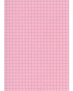 ELVE B12513R : Lot de 100 fiches bristol - 125  x 200 mm - Rose quadrillé 