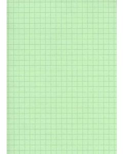 Fiches Bristol - 125 x 200 mm - Vert quadrillé ELVE B12513V 