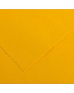 Feuilles de couleur 500 x 650 mm - Gris Clair - CANSON Vivaldi