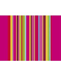 Sets de table Restaurant - Acidulé PRONAPPE 334219 image