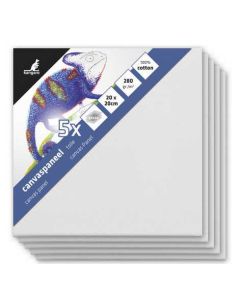 Châssis à toile - 200 x 200 mm KANGARO Lot de 5
