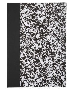 Registre 192 pages quadrillées - 340 x 225 mm DAUPHIN