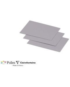 Photo POLLEN : Carte de papier Gris koala - Format 70 x 95 mm 1202C