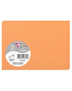 Photo POLLEN Carte Clémentine 110 x 155 mm C6 1336C Clairefontaine