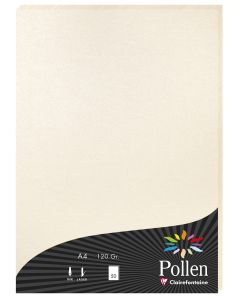 Photo Feuille de couleur Ivoire irisé  210 x 297 mm A4 POLLEN 24303C