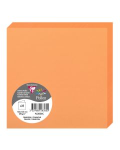 Photo Cartes double en papier - 135 x 135 mm - Clémentine CLAIREFONTAINE Pollen Lot de 25